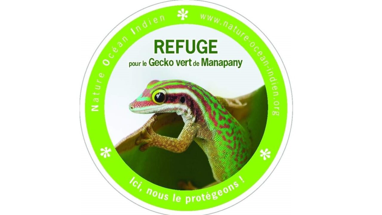 Refuges pour le Gecko vert de Manapany