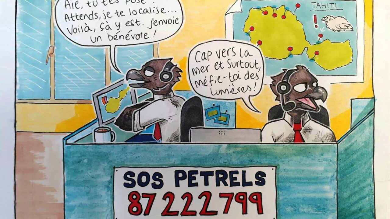 SOS Pétrels