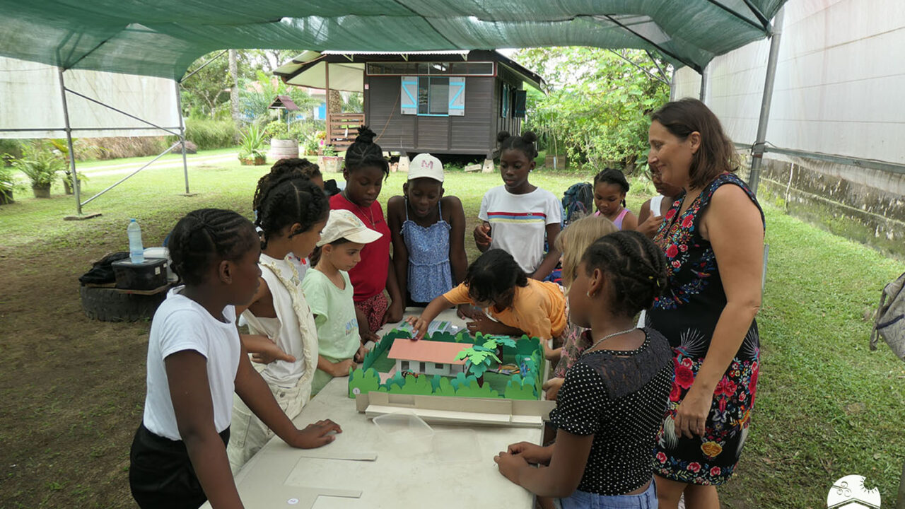 Biodiversité et Architecture : faire cohabiter la ville et le vivant en Guyane