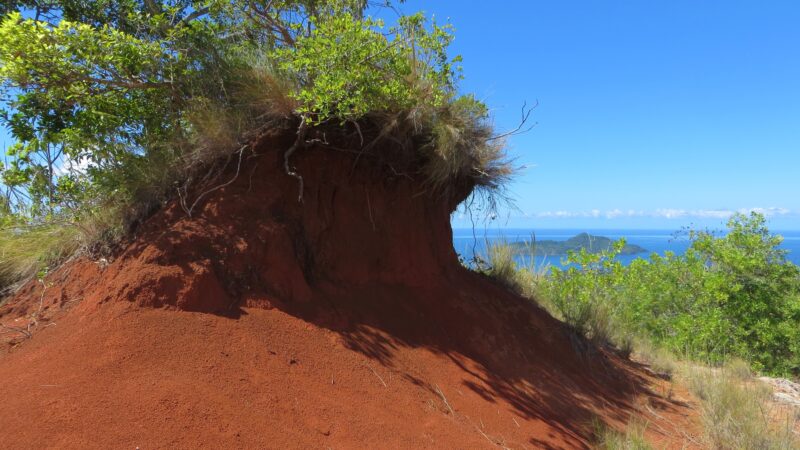 Observatoire des Padzas - Connaissance et réseau de suivi des Padzas de Mayotte